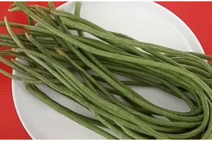Cara simpan kacang panjang agar segar dan antikeriput hingga 10 hari