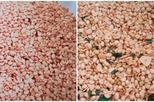 Trik bikin kacang bawang agar hasilnya mulus dan bebas kerak