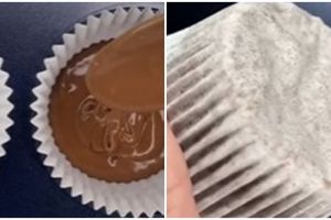 Trik agar cupcake tidak bantat dan bawahnya basah, pakai 1 bahan dapur
