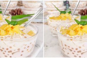 Cara membuat sagu nangka, creamy, mudah dibuat, dan enak
