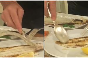 Cuma pakai sendok dan garpu, cara pisahkan tulang ikan ini bikin kagum