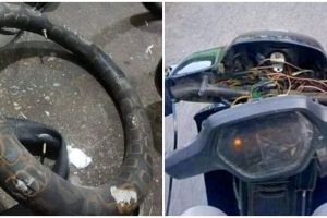 11 Tingkah lucu orang ogah ganti barang, dipakai sampai rusak