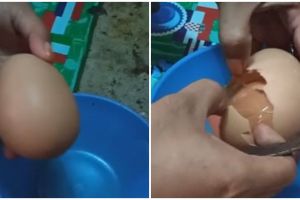 Antimainstream, telur ayam ukuran jumbo ini isinya bikin heran