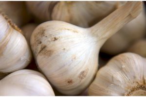 Tak perlu pisau dan blender, ini trik mudah mencincang bawang putih