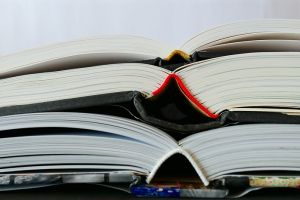 35 Contoh soal uraian bahasa Indonesia kelas 11 beserta jawabannya