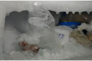 Perlu dihindari, 5 penyebab bunga es cepat menumpuk di kulkas 1 pintu