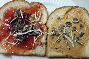 13 Potret kreasi makanan nyeleneh, kreatifnya bikin nggak jadi laper