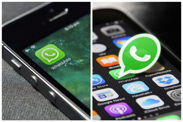 Arti tanda lingkaran pada chat WhatsApp, ini penyebab kemunculannya