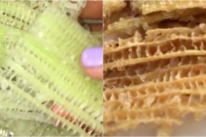 5 Cara bikin camilan renyah dari batang pisang, cocok jadi ide jualan
