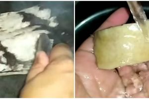 Cuma pakai sendok, ini cara mudah bersihkan bulu pada kulit sapi