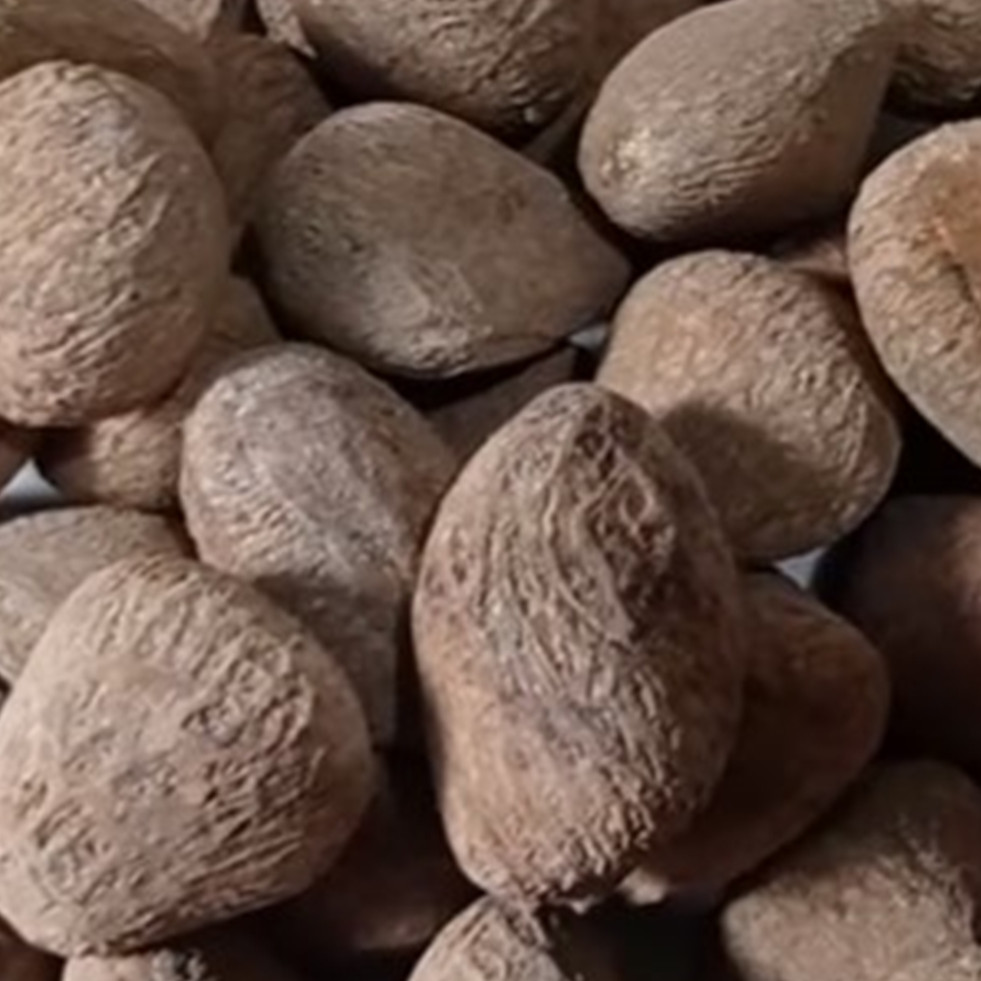 Trik memilih kluwek untuk rawon agar tidak pahit dan aman dikonsumsi