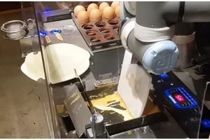 Layaknya manusia, aksi robot pembuat omelet otomatis ini canggih abis