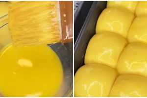 Trik bikin olesan telur agar tak menggumpal, roti jadi berkilau