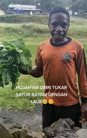 Perjuangan bocah Papua tukar bayam dengan mi instan, bikin terenyuh