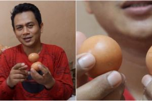 Trik pisahkan telur mentah yang saling menempel, nggak bikin rusak