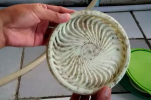 Cara hilangkan noda membandel di tutup toples tupperware, mudah ditiru