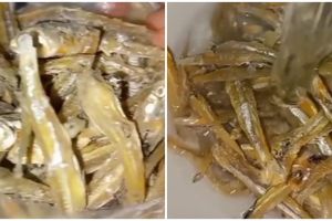 Trik simpel mengolah ikan teri agar tidak pahit dan alot