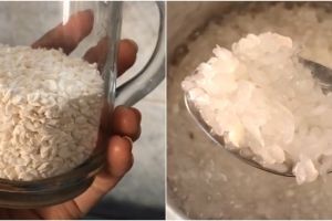 Bisa pakai kompor, ini 5 cara masak nasi shirataki tanpa ribet