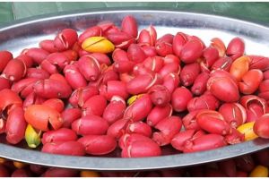 Mudah ditiru, ini cara kupas kulit melinjo agar hasilnya rapi
