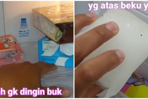 Cara mudah memperbaiki kulkas bagian bawah yang tidak dingin