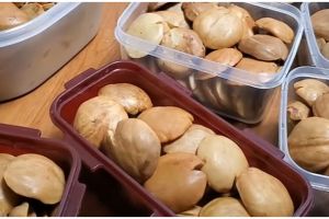 Cara menyimpan jengkol tetap segar sampai 1 tahun, pakai bubuk kopi