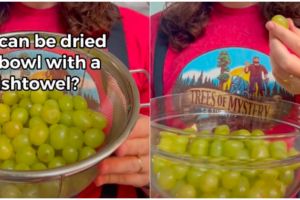 Tanpa tisu, ini cara tiriskan buah dengan cepat dan praktis