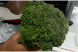 Jangan asal pilih, begini trik memilih brokoli segar dan berkualitas