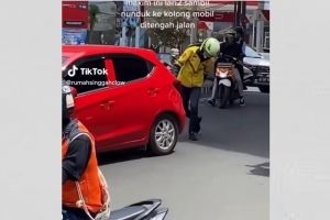 Aksi heroik driver ojek online selamatkan anak kucing di kolong mobil