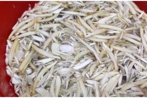 Trik mudah memotong jantung pisang agar tekstur kerasnya hilang