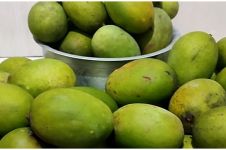 Cara jitu menyimpan buah mangga, tidak mudah busuk sampai 6 bulan