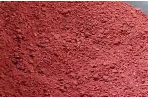 Trik mudah menyangrai terasi agar tidak menggumpal dan matang merata