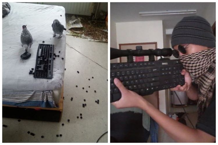 11 Potret nyeleneh sembarangan letakkan keyboard PC, jadinya riskan