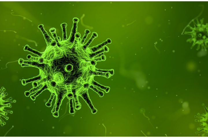 'Virus zombie' ditemukan, ilmuwan teliti ancaman bahaya