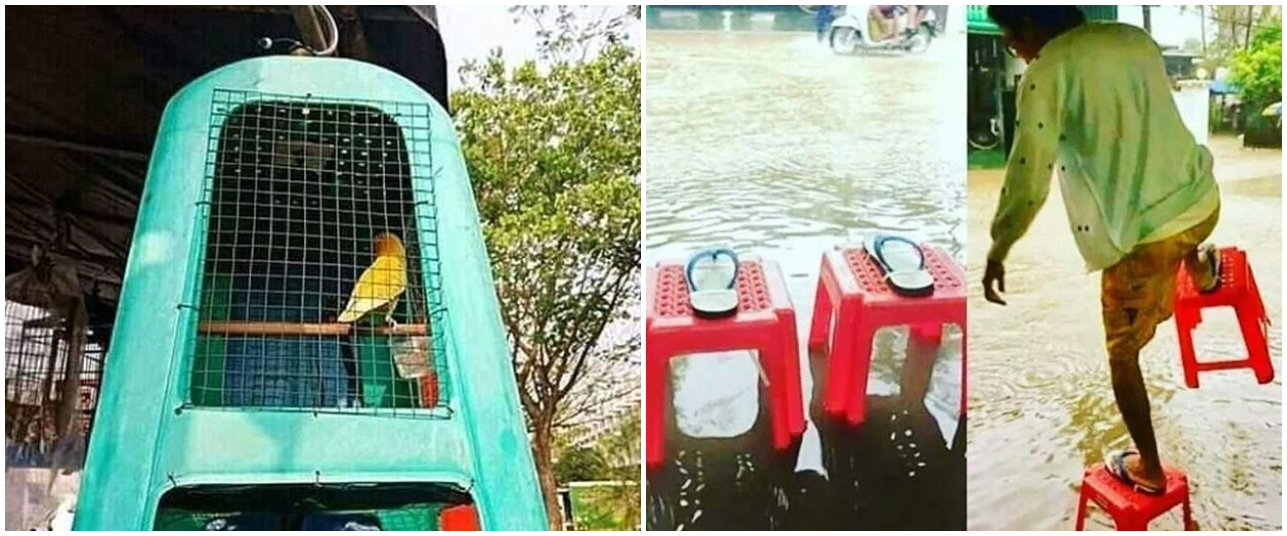 11 Cara nyeleneh orang akali kursi plastik bekas, bikin geleng kepala