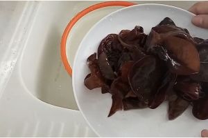 Cara menyimpan jamur kuping basah, tak mudah berlendir hingga 2 minggu