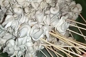 Jangan asal, begini trik menusuk sate jamur tiram agar tidak terjatuh saat dibakar