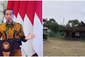Terlihat utuh tapi tak dihuni, ini 9 penampakan rumah masa kecil Jokowi yang berusia 1 abad