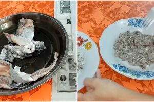 Trik menghaluskan kulit ikan tanpa chopper, cocok buat bekal bikin pempek