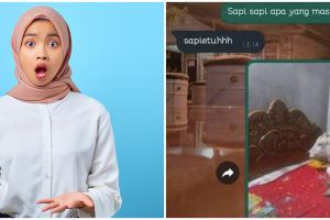 11 Chat dikira bercanda ternyata serius ini plot twist-nya bikin melongo