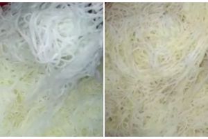 Trik mengolah bihun untuk telur gulung agar teksturnya tidak keras dan tahan 24 jam 