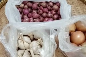 Cara sederhana menyimpan bawang agar tahan sampai berbulan-bulan
