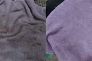 Cara bersihkan noda hitam dan jamur di handuk dapur, cuma pakai 2 bahan