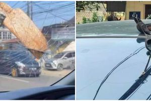 11 Momen kaca mobil ketiban benda tak terduga, tingkat apesnya level dewa