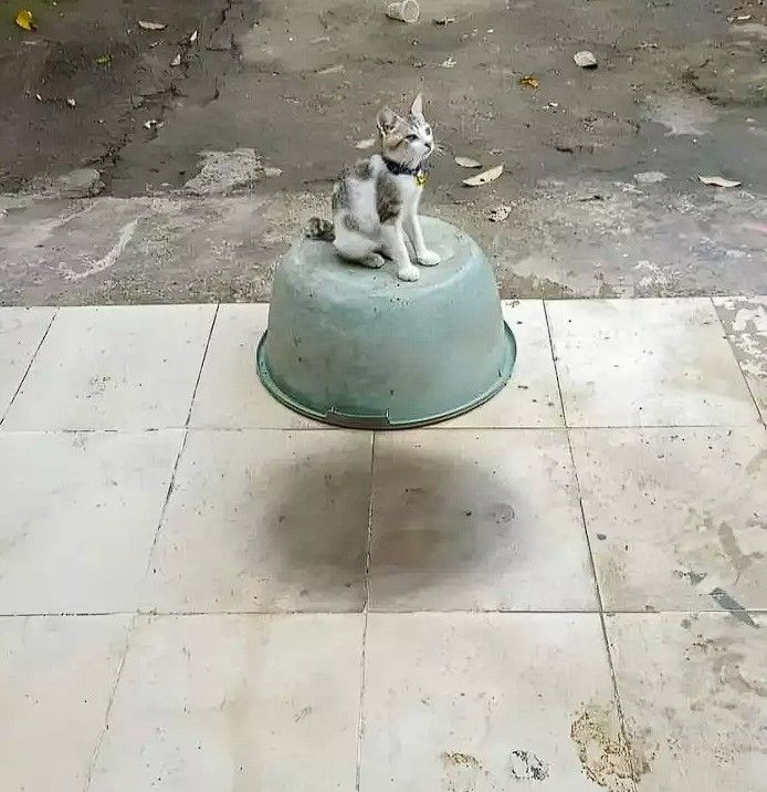 Sulit dicerna, 17 potret absurd ini harus dilihat lebih dua kali agar kamu paham