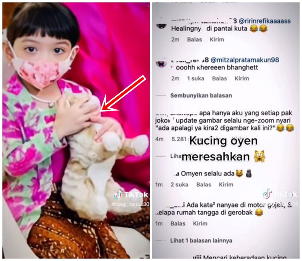 Terungkap kucing oren yang muncul di postingan Presiden Jokowi, ada hubungannya dengan sang cucu?