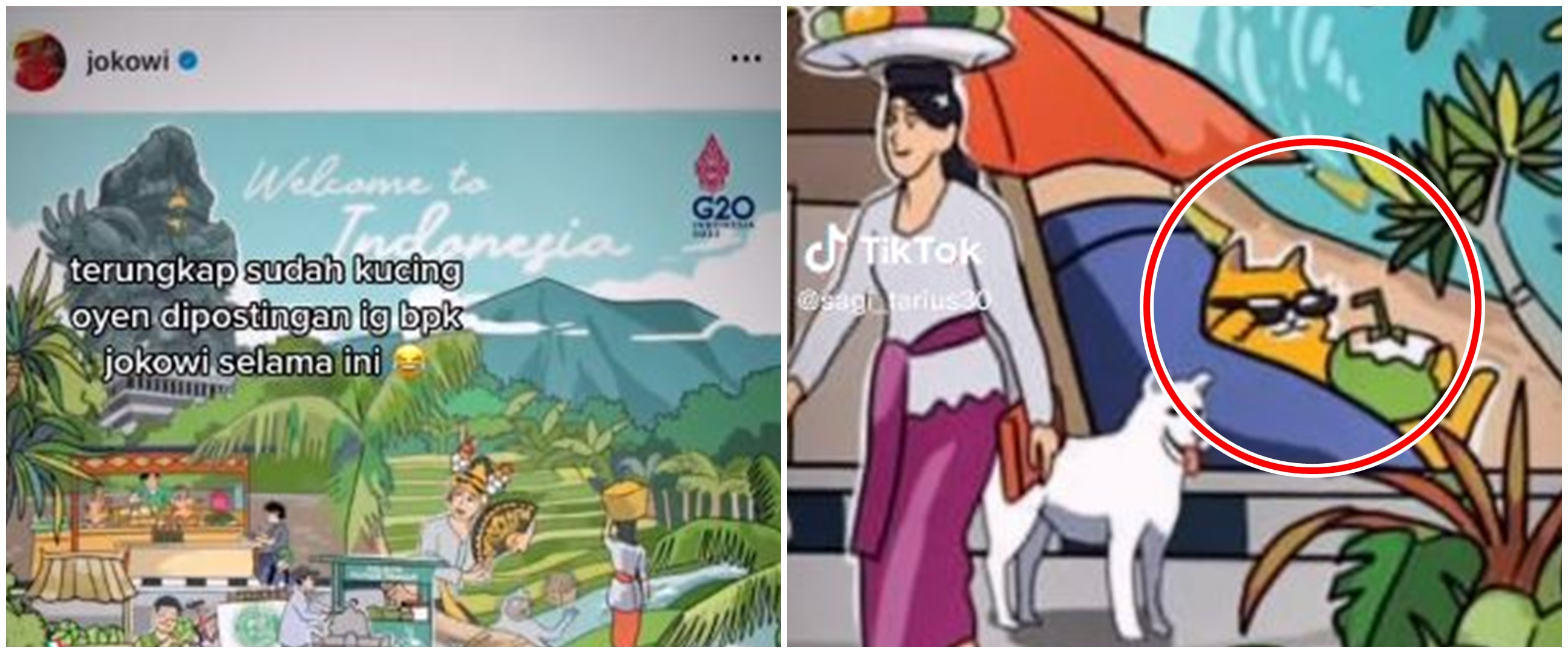 Terungkap kucing oren yang muncul di postingan Presiden Jokowi, ada hubungannya dengan sang cucu?