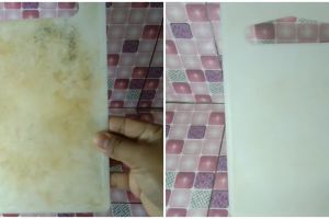 Simpel tanpa bahan pemutih, ini cara jitu bersihkan noda membandel pada talenan plastik