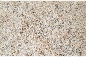 Trik menyimpan ikan teri segar, tahan berbulan-bulan tanpa freezer