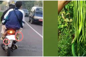 11 Momen lucu susah bedain benda ini bikin hampir terkecoh