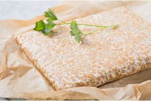 Kerap diabaikan, ini 5 cara memilih tempe yang segar dan berkualitas baik